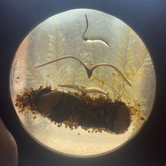 VTG Seagull Aquatic Three Dimensional Wall Art - Picture 4 of 10